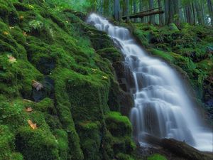 Preview wallpaper waterfall, moss, landscape, nature