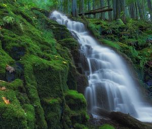 Preview wallpaper waterfall, moss, landscape, nature