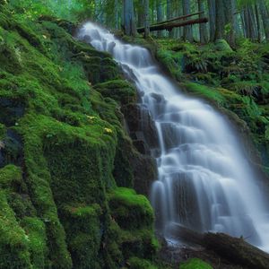 Preview wallpaper waterfall, moss, landscape, nature