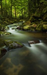 Preview wallpaper waterfall, moss, stones, rocks, gloomy