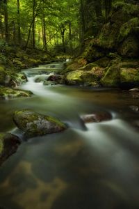 Preview wallpaper waterfall, moss, stones, rocks, gloomy