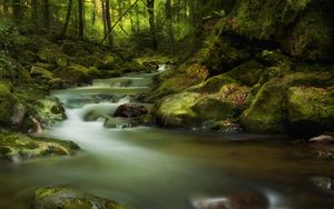 Preview wallpaper waterfall, moss, stones, rocks, gloomy