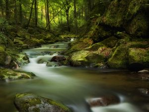 Preview wallpaper waterfall, moss, stones, rocks, gloomy