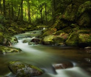 Preview wallpaper waterfall, moss, stones, rocks, gloomy