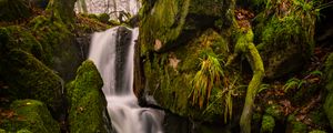 Preview wallpaper waterfall, moss, stones, landscape, trees