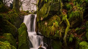 Preview wallpaper waterfall, moss, stones, landscape, trees