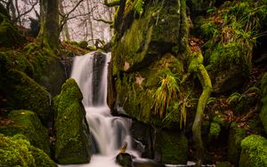 Preview wallpaper waterfall, moss, stones, landscape, trees