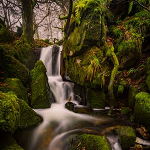 Preview wallpaper waterfall, moss, stones, landscape, trees