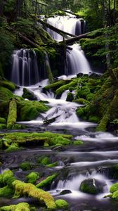 Preview wallpaper waterfall, moss, water, stream, trees