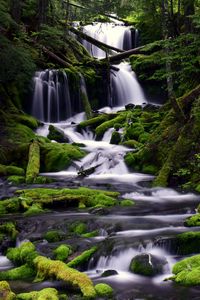 Preview wallpaper waterfall, moss, water, stream, trees