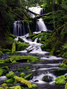 Preview wallpaper waterfall, moss, water, stream, trees