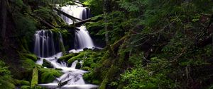 Preview wallpaper waterfall, moss, water, stream, trees