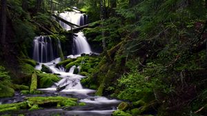 Preview wallpaper waterfall, moss, water, stream, trees