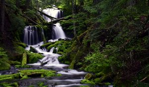 Preview wallpaper waterfall, moss, water, stream, trees