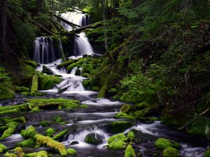 Preview wallpaper waterfall, moss, water, stream, trees