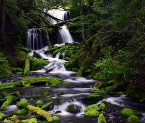 Preview wallpaper waterfall, moss, water, stream, trees