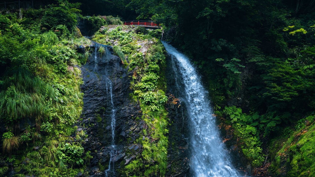 Wallpaper waterfall, nature, bridge, trees