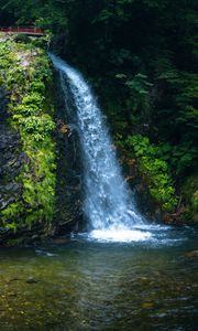 Preview wallpaper waterfall, nature, bridge, trees