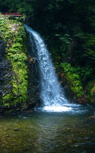 Preview wallpaper waterfall, nature, bridge, trees