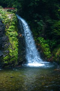Preview wallpaper waterfall, nature, bridge, trees