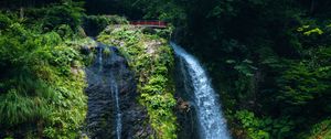 Preview wallpaper waterfall, nature, bridge, trees