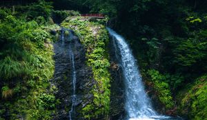 Preview wallpaper waterfall, nature, bridge, trees
