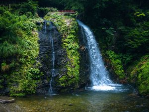 Preview wallpaper waterfall, nature, bridge, trees