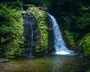 Preview wallpaper waterfall, nature, bridge, trees