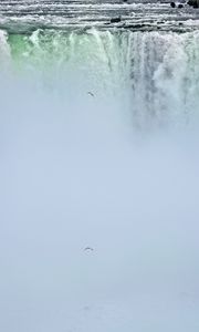 Preview wallpaper waterfall, niagara, fog, bird, nature