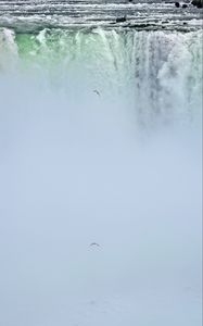 Preview wallpaper waterfall, niagara, fog, bird, nature