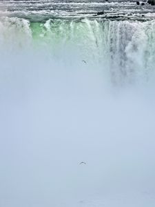 Preview wallpaper waterfall, niagara, fog, bird, nature