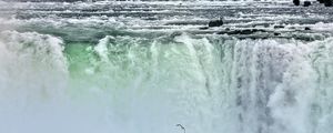 Preview wallpaper waterfall, niagara, fog, bird, nature