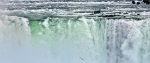 Preview wallpaper waterfall, niagara, fog, bird, nature