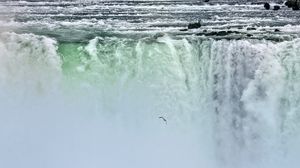 Preview wallpaper waterfall, niagara, fog, bird, nature