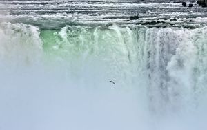 Preview wallpaper waterfall, niagara, fog, bird, nature