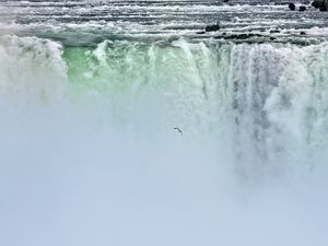 Preview wallpaper waterfall, niagara, fog, bird, nature