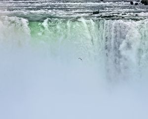 Preview wallpaper waterfall, niagara, fog, bird, nature