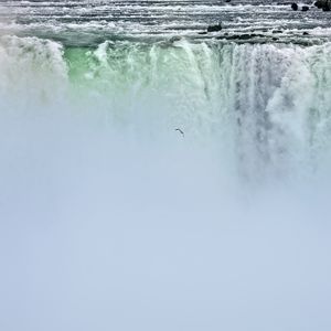 Preview wallpaper waterfall, niagara, fog, bird, nature