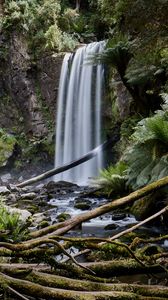 Preview wallpaper waterfall, palm, fern, stones