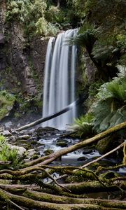 Preview wallpaper waterfall, palm, fern, stones