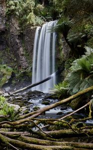 Preview wallpaper waterfall, palm, fern, stones