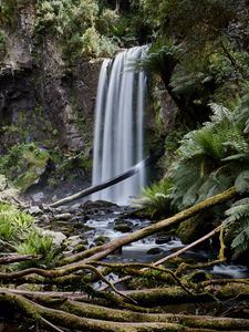 Preview wallpaper waterfall, palm, fern, stones