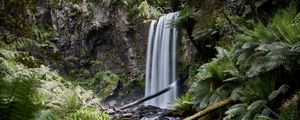 Preview wallpaper waterfall, palm, fern, stones