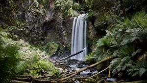 Preview wallpaper waterfall, palm, fern, stones