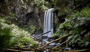 Preview wallpaper waterfall, palm, fern, stones