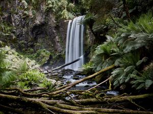 Preview wallpaper waterfall, palm, fern, stones