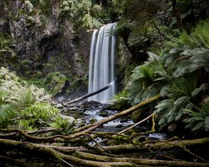 Preview wallpaper waterfall, palm, fern, stones