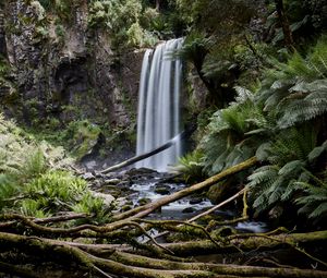 Preview wallpaper waterfall, palm, fern, stones