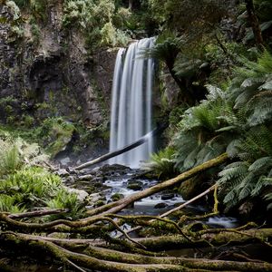 Preview wallpaper waterfall, palm, fern, stones