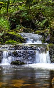 Preview wallpaper waterfall, plants, stones, water, flow